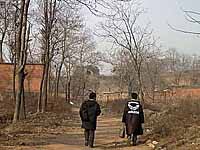 �����J�ւɌ�����