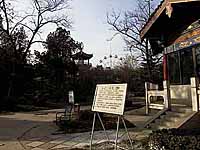 ���z�����Q