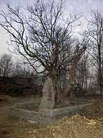 ������n�A