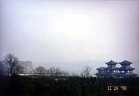 ���J�ւ̕��i�Q