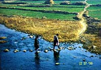 ���ւ���P�ނQ