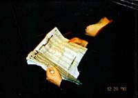 �V����ǂ�